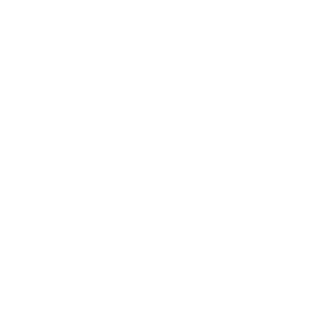 Valet Parking icon