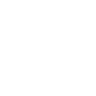 Custom Reports Technology